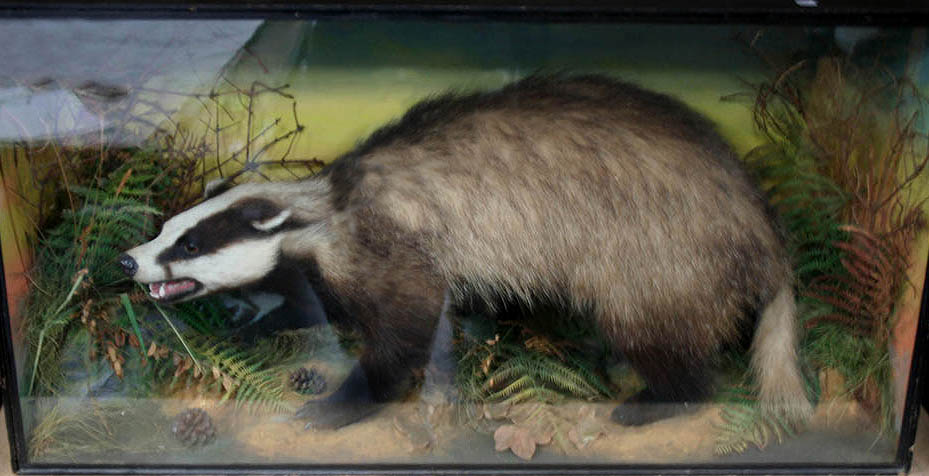 Gardnerbadger.jpg