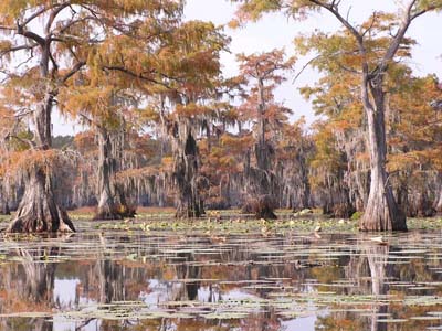 caddo3.jpg