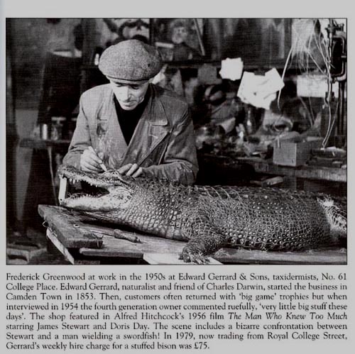 crocfred1940.jpg