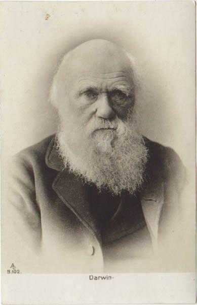 essays charles darwin