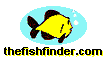 FishFinder.com