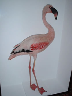 flamingo.jpg