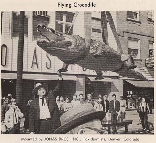 flyingcroc.jpg