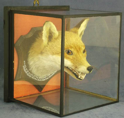 foxheadcube.jpg