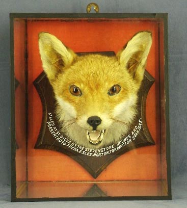 foxheadcube1.jpg
