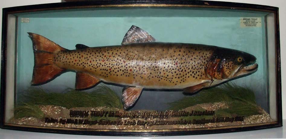 garrytrout6.jpg