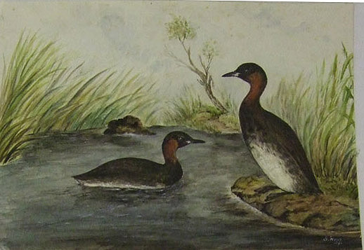 geoGREBE.jpg