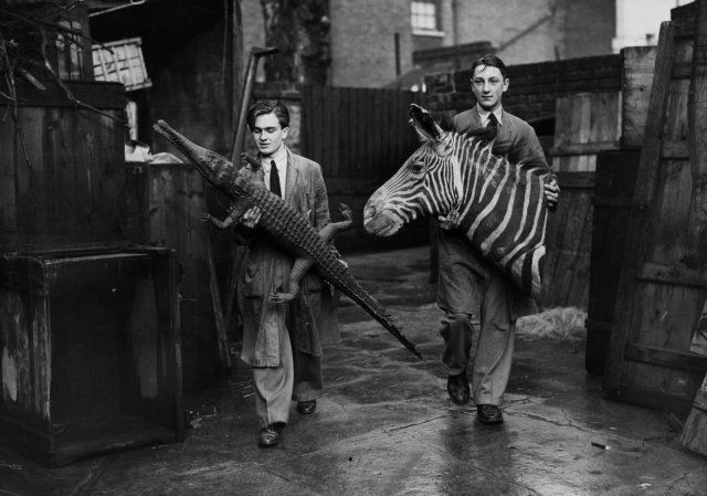 gerrardsteptoe.jpg