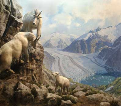 goatdiorama.jpg