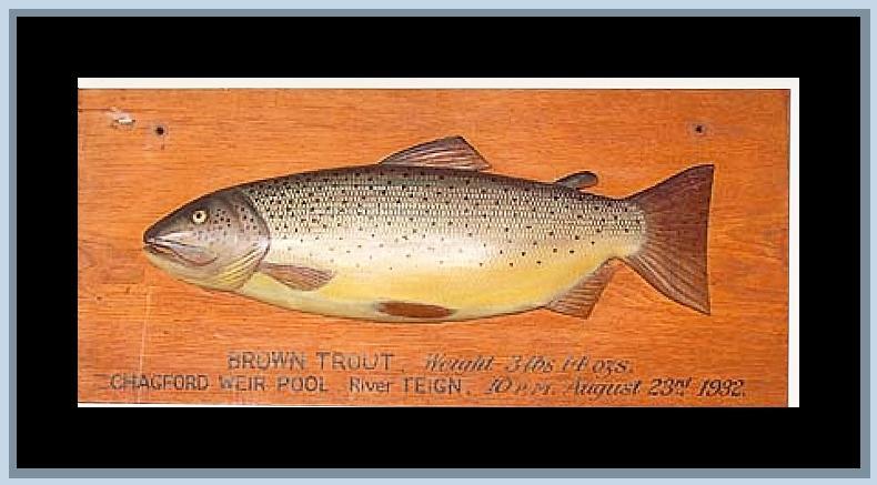 griggscarvedtrout.jpg