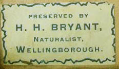 hhbryant.jpg