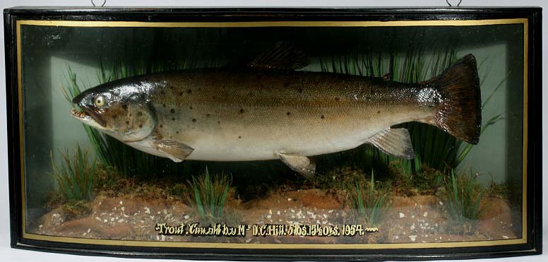 homer1954trout.jpg