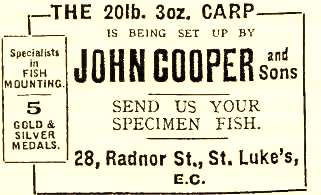 jcoplabel1916carp.jpg