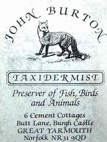 johnburtontaxidermist.jpg