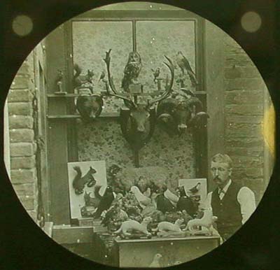 latternslide.jpg