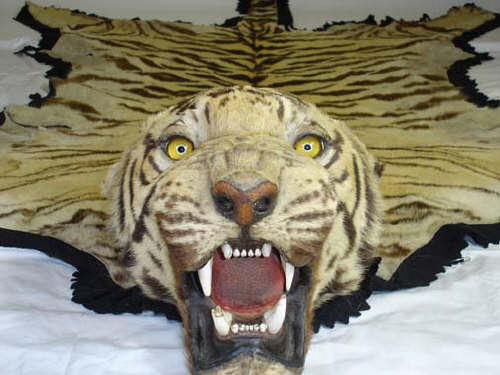 mouthtiger.jpg