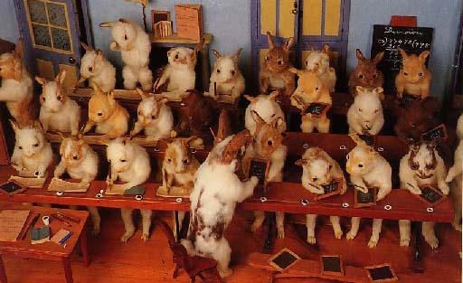 rabbitschool.jpg