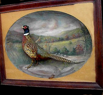 schmacpheasant.jpg