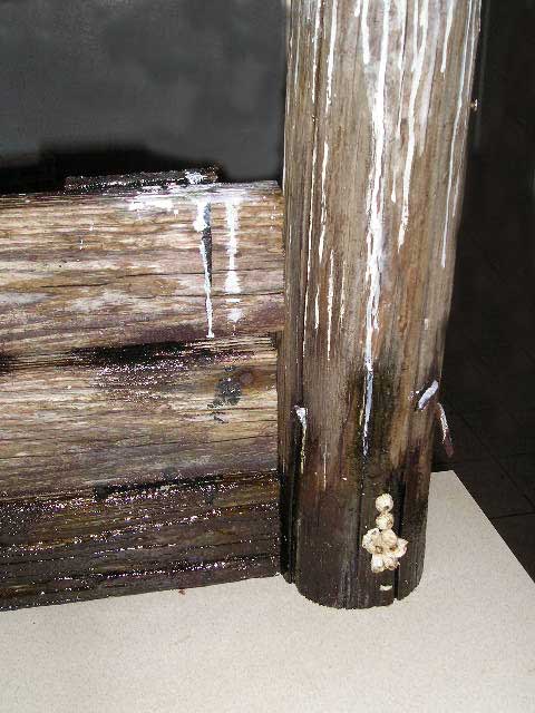 scotwharf2.jpg
