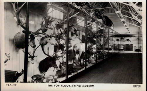 topfloottringmuseum.jpg