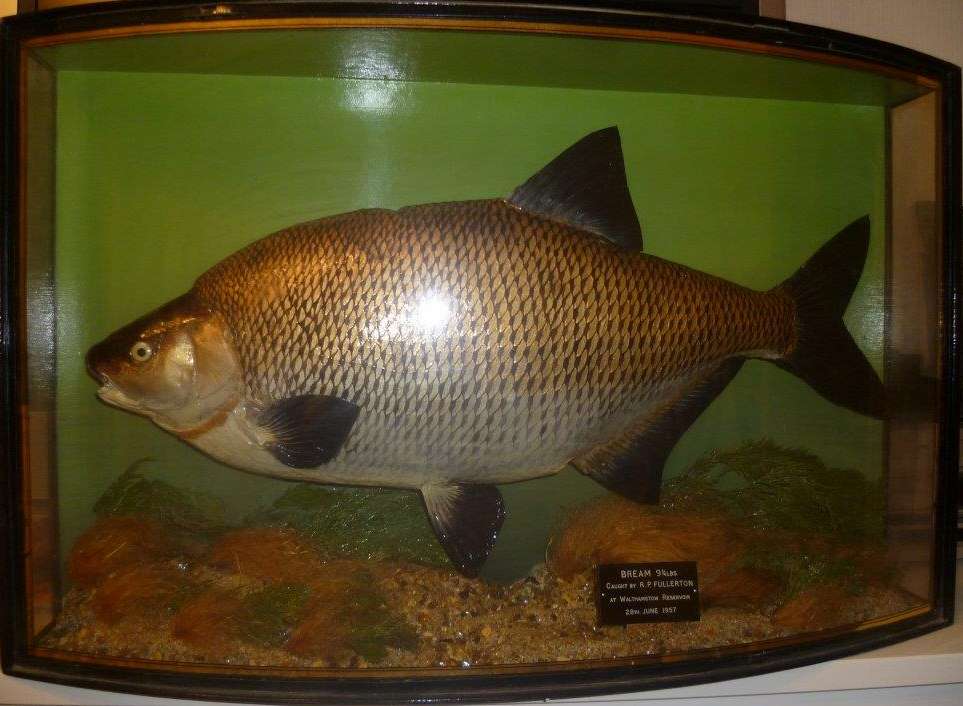 walthambream.jpg