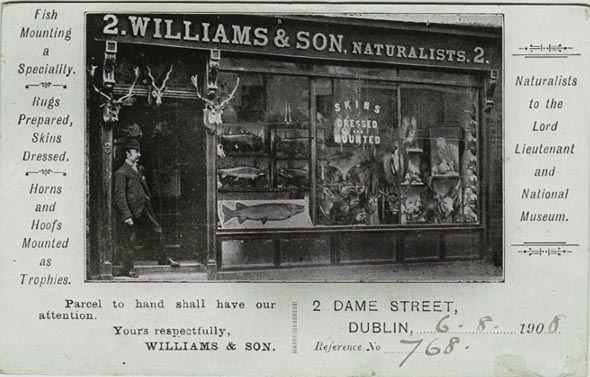 williamsshopfront.jpg