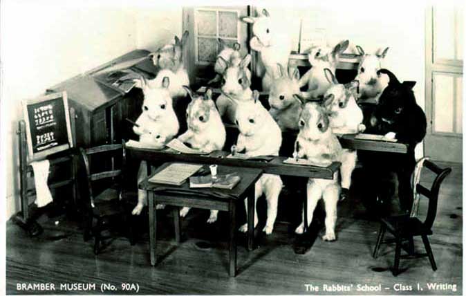 rabbitschoolpostcard.jpg
